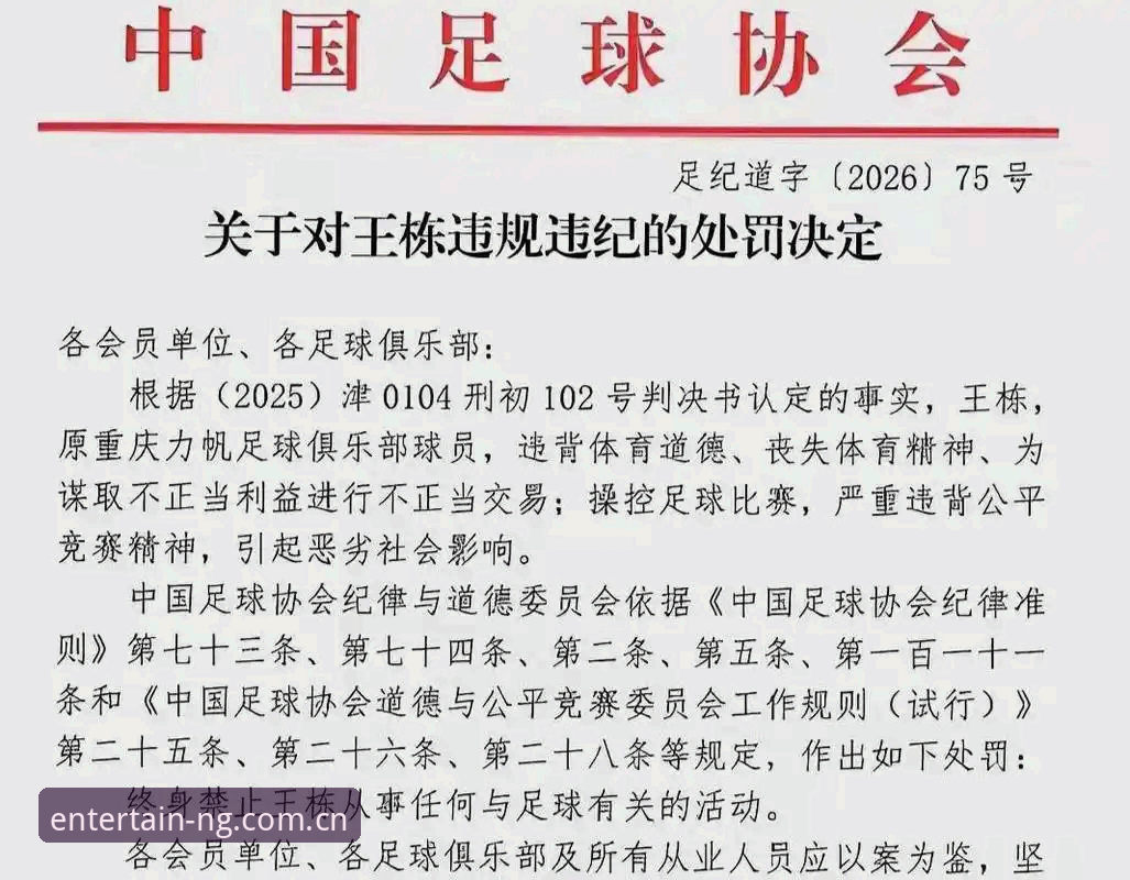 NG体育更新 中国足协第三批禁足名单全面解读——行业整顿与ng体育平台视角下的思考